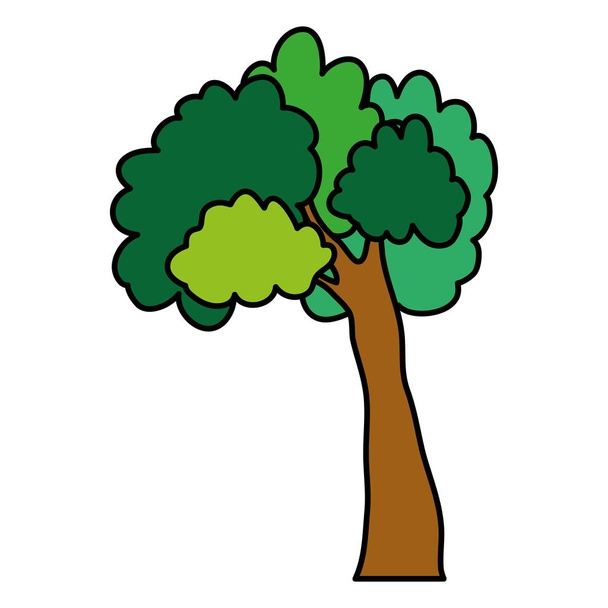 color nice tree stalk with branches leaves vector illustration - Vector, Image