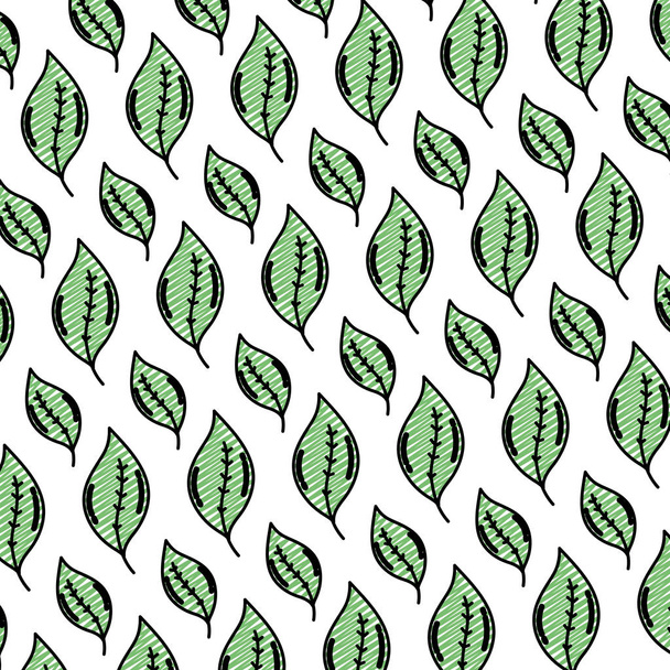 doodle cute botany leaf style background vector illustration - Vector, Image