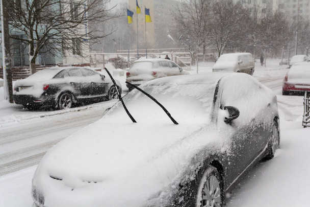 Припаркованные машины на обочине дороги, покрытые снегом. Транспорт
 - Фото, изображение