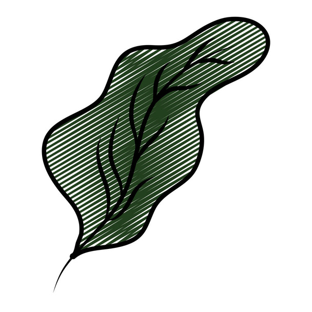 doodle botanic leaf style exotic plant vector illustration - Vector, Imagen