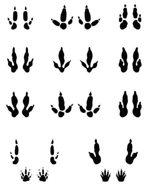 Huellas negras de patas de canguro sobre un fondo blanco - Vector, imagen