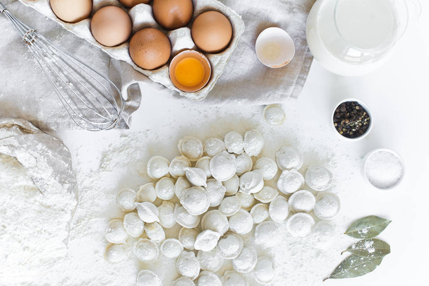 Ingredients for modeling homemade dumplings. Eggs, milk, flour, salt, pepper, meat. White background, top view - Photo, Image