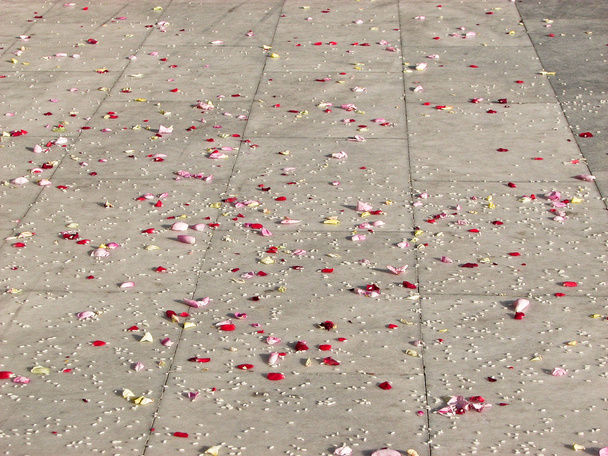 Harvat ruusun terälehdet lattialla
 - Valokuva, kuva