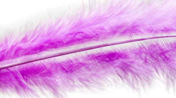 bright colored feathers close-up as a background - Photo, Image