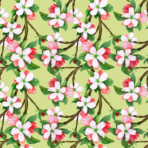 Seamless pattern with watercolor apple flowers and leaves. Seamless pattern with pink  and white flowers apple and peach. Hand drawn watercolor illustration. - Photo, Image