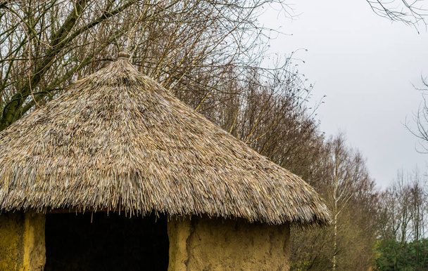 Dach eines primitiven Hauses mit Reetdach, Gartendekoration, Naturhintergrund - Foto, Bild