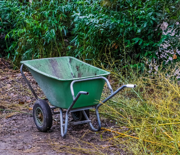 green wheelbarrow in a garden, working on garden maintenance, equipment for the backyard - Photo, Image