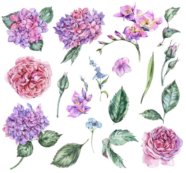 Sommer-Aquarell-Blumen Hortensien, Freesien, Rosen, Garde - Foto, Bild
