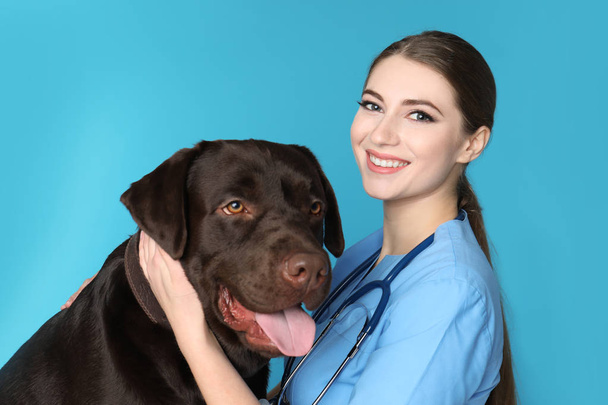 Veterinarian doc with dog in animal clinic - Foto, Bild