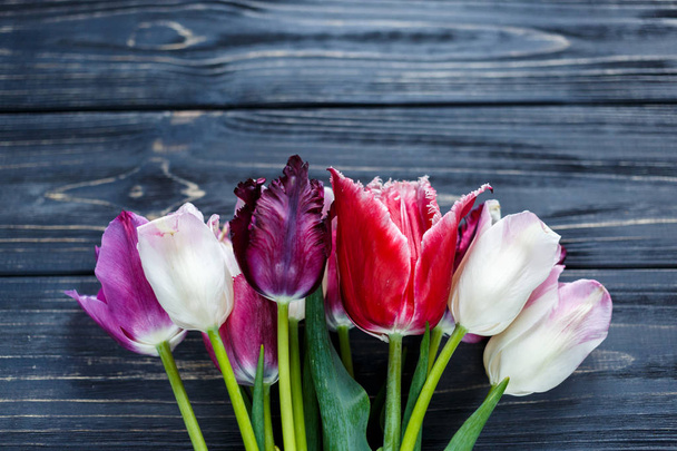 colorful beautiful pink violet tulips on gray wooden table. Valentines, spring background. floral mock up.  with copyspace. happy mothers day, romantic still life, fresh flowers - Fotoğraf, Görsel