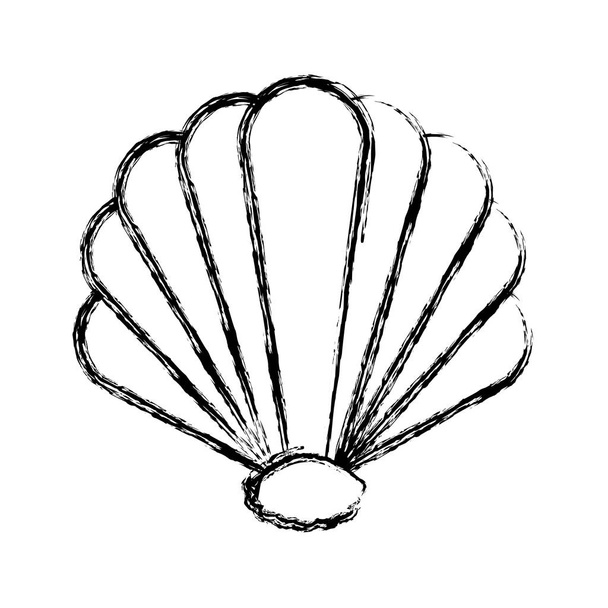 Grunge schoonheid shell natuur manine stijl vectorillustratie - Vector, afbeelding