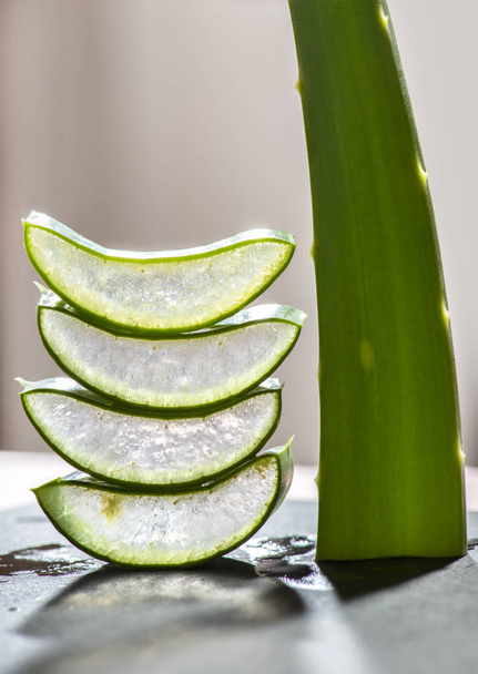 Aloe vera slices stacked on dark board. Gel inside aloe leaf. Health and beauty concept. Closeup aloe cut leaf on backlight. - Photo, image
