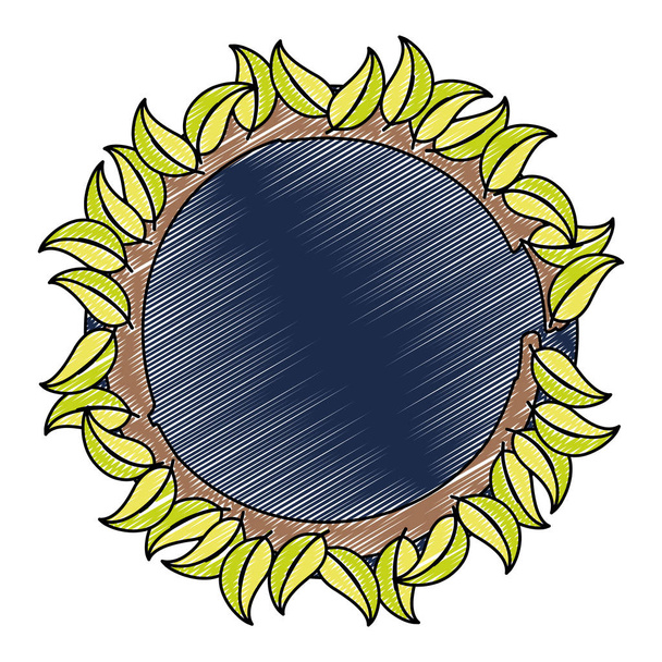 garabato círculo planta natural con hojas tropicales vector ilustración
 - Vector, Imagen