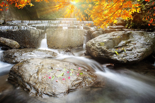 The imageing of nice water with maple compose a beautiful view - Photo, Image