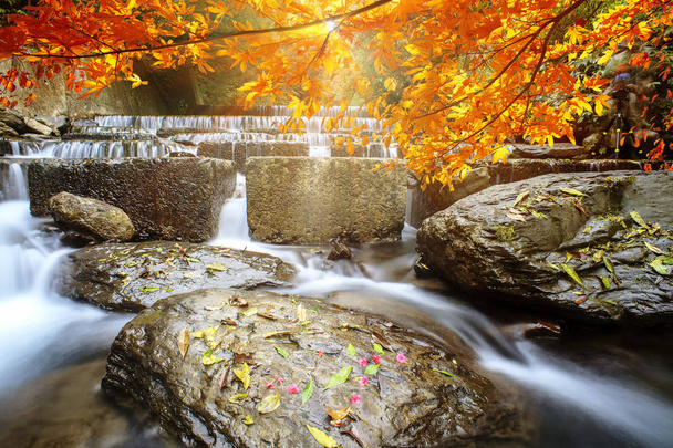 Το imageing ωραίο νερό με maple συνθέτουν μια όμορφη θέα - Φωτογραφία, εικόνα