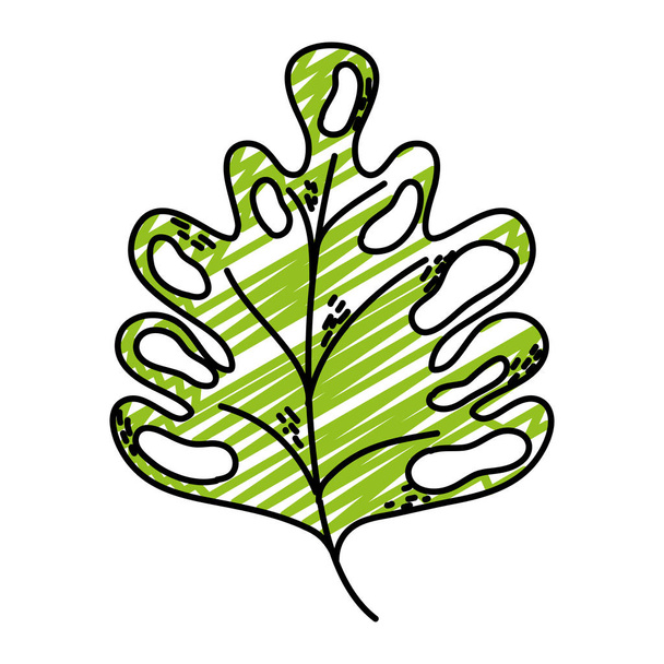 Doodle Botanik Schönheit Blatt exotischen Stil Vektor Illustration - Vektor, Bild