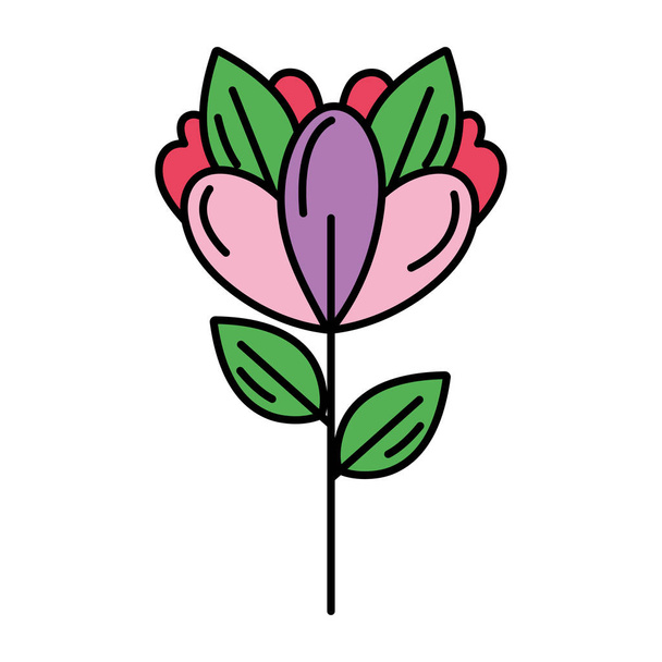 color belleza exótica flor planta hojas vector ilustración
 - Vector, imagen