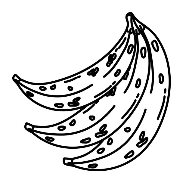 線おいしいバナナ フルーツ有機ビタミン ベクトル図 - ベクター画像
