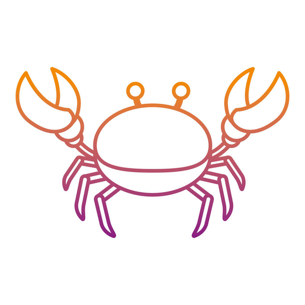 degraded line nice crab tropical sea animal vector illustration - Vector, Image