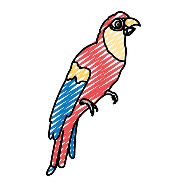Doodle εικονογράφηση φορέα του παπαγάλου τροπικός πουλί τεχνοτροπία με εικόνες ζώων - Διάνυσμα, εικόνα