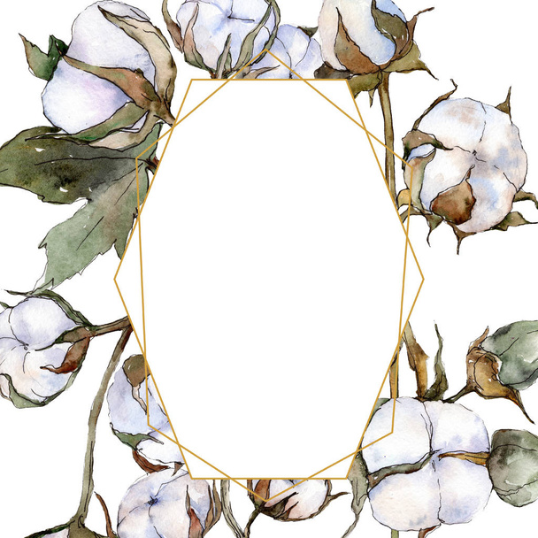 Λευκό βαμβακερό floral βοτανικό λουλούδι. Ακουαρέλα φόντο εικόνα σύνολο. Πλαίσιο συνόρων στολίδι τετράγωνο. - Φωτογραφία, εικόνα
