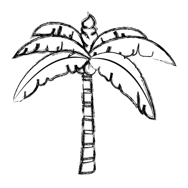 grunge tropical palm tree with leaves and coconuts vector illustration - Vektör, Görsel