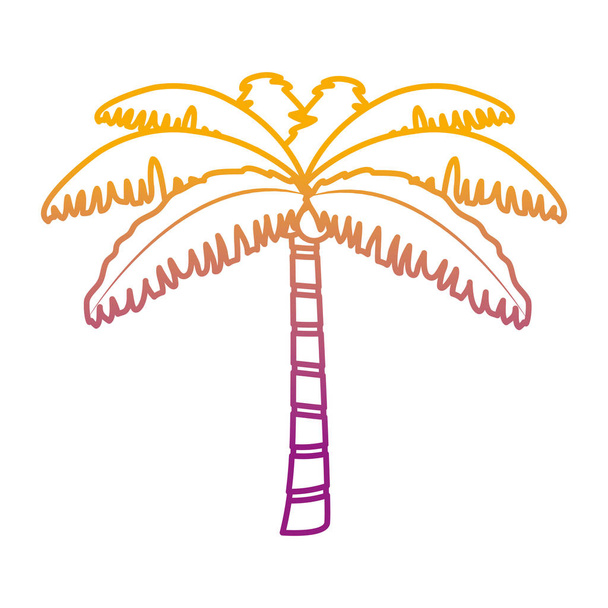aangetaste lijn tropische palm natuur boom stijl vectorillustratie - Vector, afbeelding