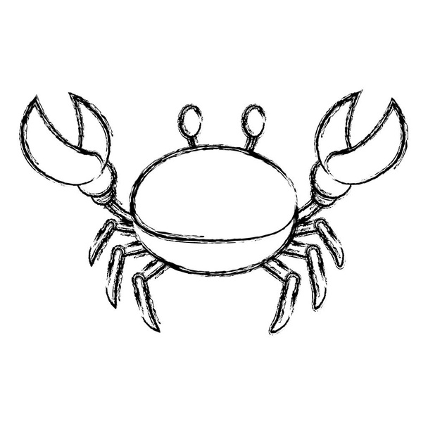 grunge cute crab tropical animal of sea vector illustration - Vector, Image
