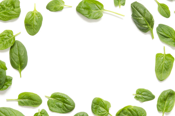 Spinach leaves. Fresh Green spinach isolated on a white background - Foto, Imagem