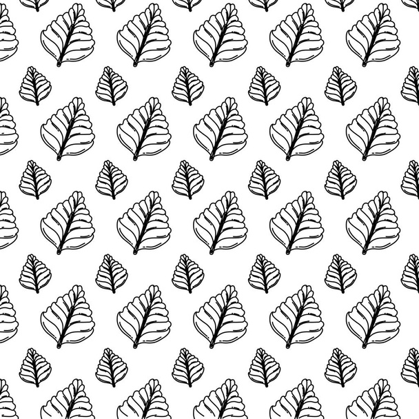 line natural and tropical leaf style background vector illustration - Vector, Image