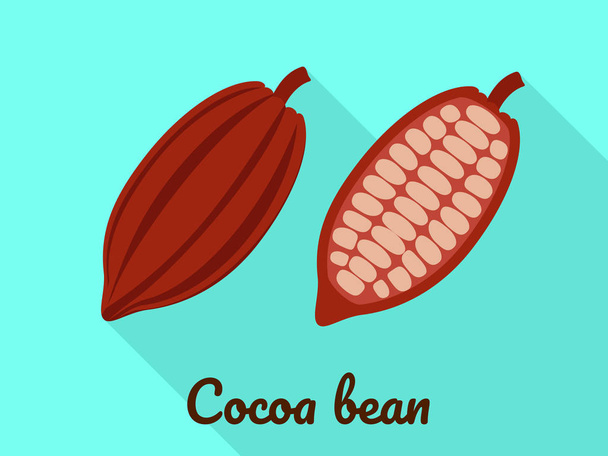 Cocoa bean icon, flat style - Vetor, Imagem