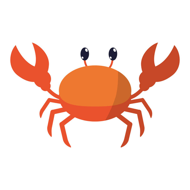 cute crab tropical animal of sea vector illustration - Vector, Image