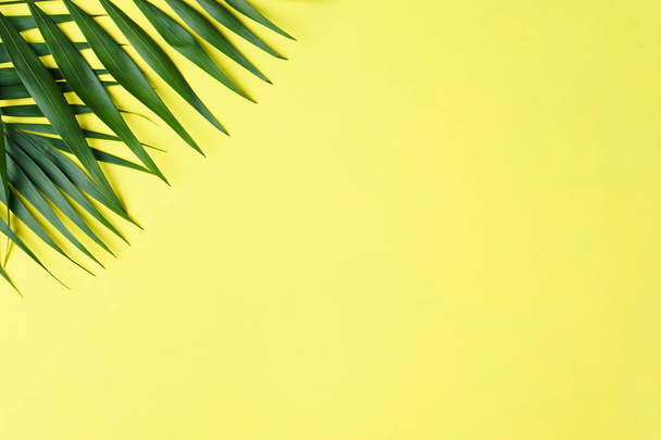 summer tropical background with copy space - Zdjęcie, obraz