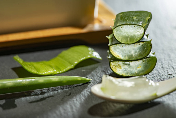 Aloe vera slices on dark background and spoon with aloe gel. Health and beauty concept. Closeup aloe pieces on backlight. - 写真・画像