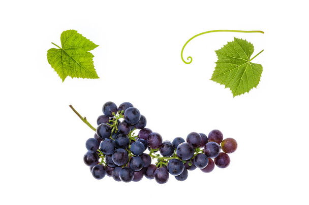 bunch of dark blue table grapes with leaves on white background - Zdjęcie, obraz