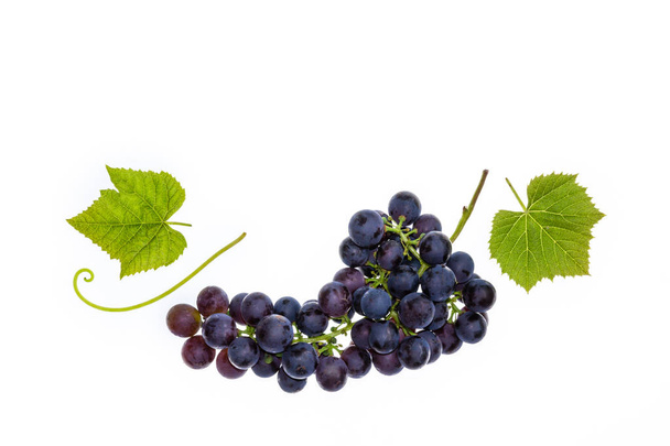 bunch of Pinot Noir grapes with leaves isolated on white background - Fotoğraf, Görsel