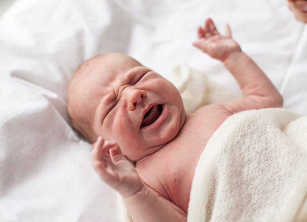Primer plano del bebé recién nacido llorando
 - Foto, Imagen