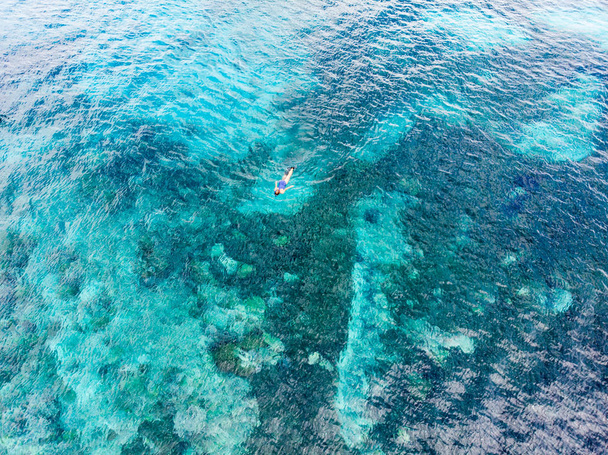 Εναέρια κορυφή προς τα κάτω οι άνθρωποι snorkeling σε κοραλλιογενή ύφαλο τροπική Καραϊβική θάλασσα, τυρκουάζ μπλε νερό. Ινδονησία Wakatobi αρχιπέλαγος, θαλάσσιο πάρκο, τουριστική κατάδυση ταξιδιωτικός προορισμός - Φωτογραφία, εικόνα