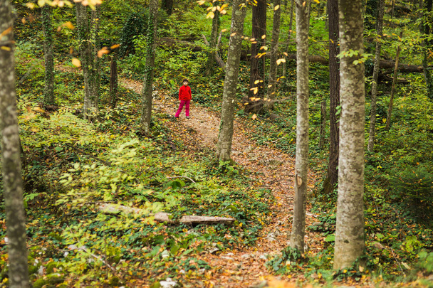 small girl in a red suit stamd on the trail going through the forest - Foto, Imagem