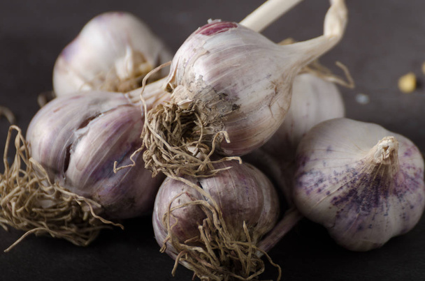 Bio garlic from garden, organic garlic on dark background - Foto, Imagen