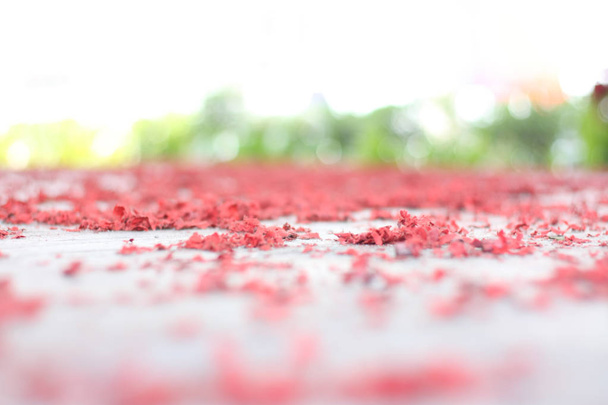 Kína vörös cracker lőttek, és feltárni továbbra is a padlón, a kínai új évet esemény. - Fotó, kép