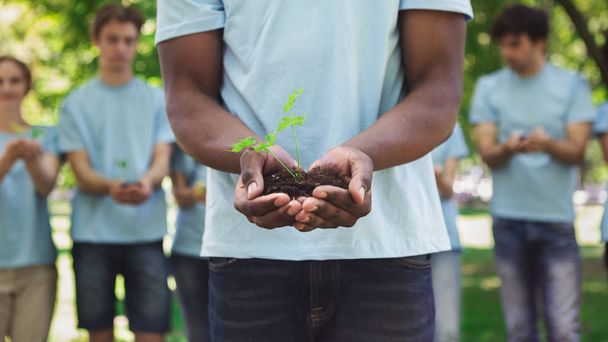 homem afro-americano mãos segurando planta no solo
 - Foto, Imagem