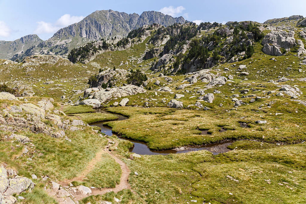 Creek przekraczania pięknej dolinie, w katalońskiej części Pirenejów - Zdjęcie, obraz