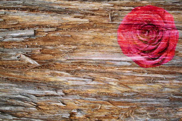 Composición de flores. Rosa sobre el fondo de corteza marrón de madera. Doble exposición. Plano, vista superior, espacio para copiar
. - Foto, Imagen
