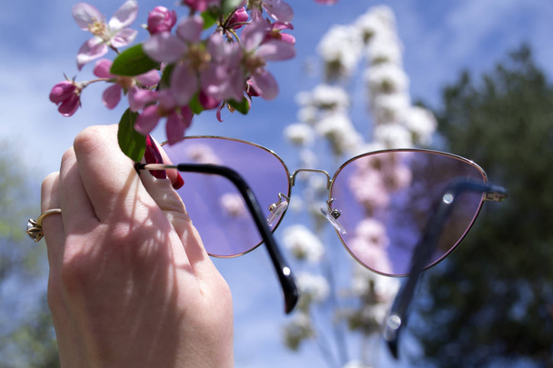 Occhiali rosa e ramo in fiore in mano femminile contro sfondo cielo blu
. - Foto, immagini