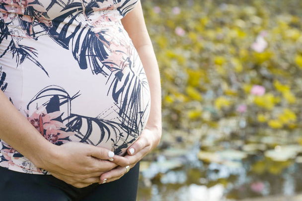 mulher grávida no parque - Foto, Imagem