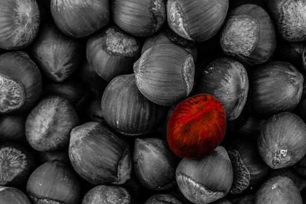 single one among many copy space dark base toning set hazelnut red special contrast background design - Photo, Image