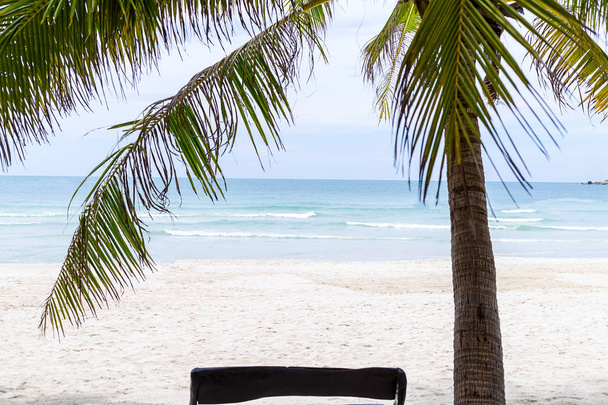 Sandstrand feiner weißer Sand ideales Paradies Erholung Urlaub unter einer tropischen Palme Blick auf das endlose Wasser Ozean - Foto, Bild