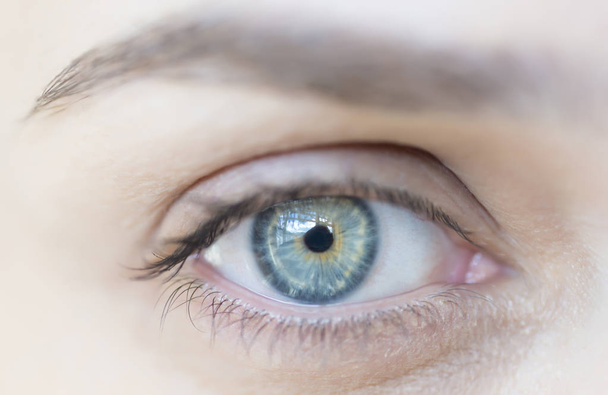Macro image of human eye.Womens blue eye - Foto, afbeelding