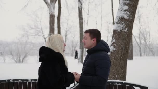 Όμορφο νεαρό ζευγάρι κρατώντας τα χέρια μιλούν και να χαμογελούν σε ένα χειμερινό πάρκο της πόλης. - Πλάνα, βίντεο